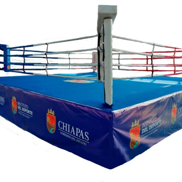 Ring Olimpico