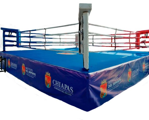 Ring Olimpico