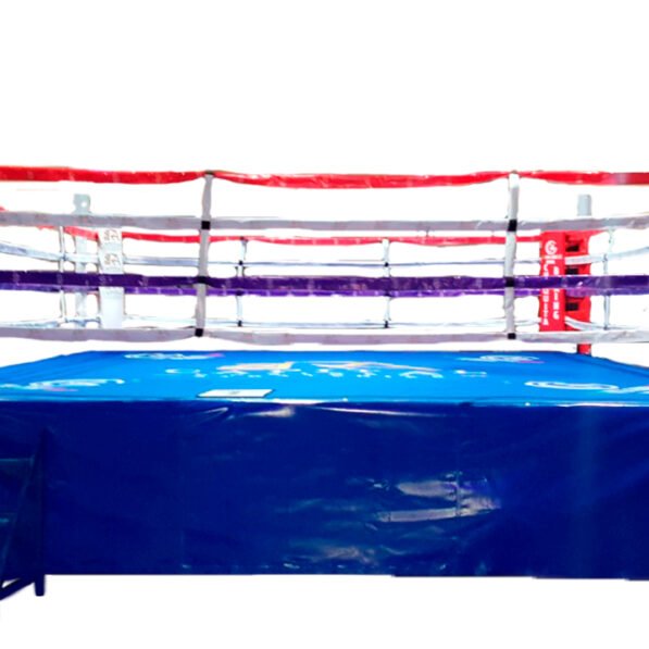 Ring profesional