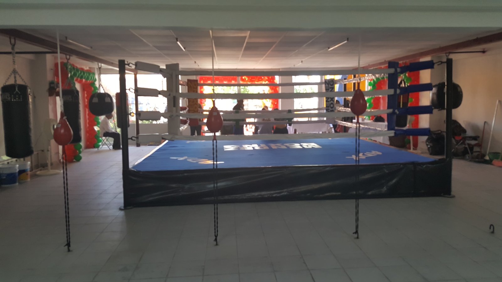 Ring de Boxeo Gimnasio MTX - Imagen 6
