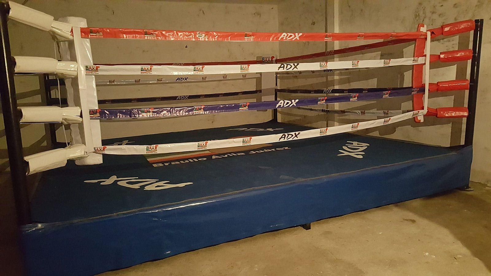 Ring de Boxeo Gimnasio MTX - Imagen 4