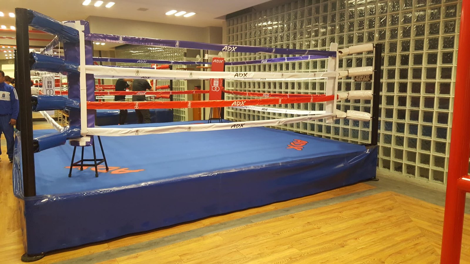 Ring de Boxeo Gimnasio MTX - Imagen 5