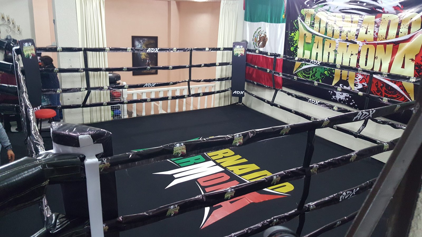 Ring de Boxeo Gimnasio MTX - Imagen 11