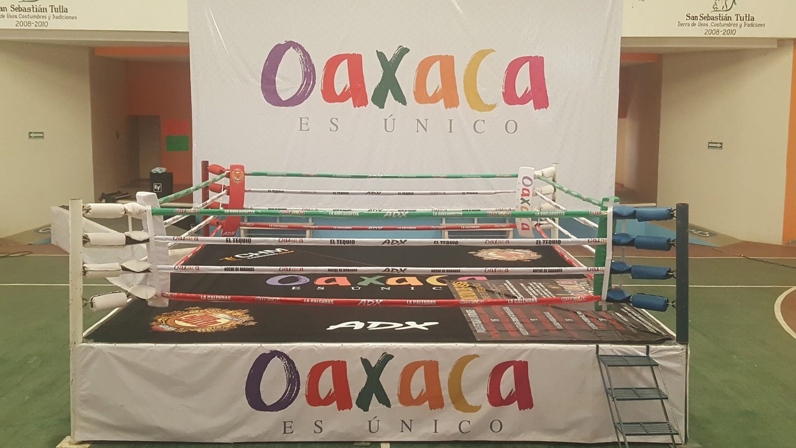 Ring de Boxeo Profesional MTX - Imagen 5