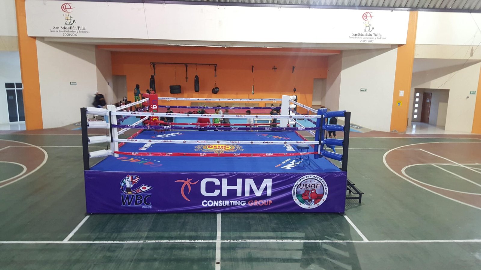 Ring de Boxeo Profesional MTX - Imagen 6