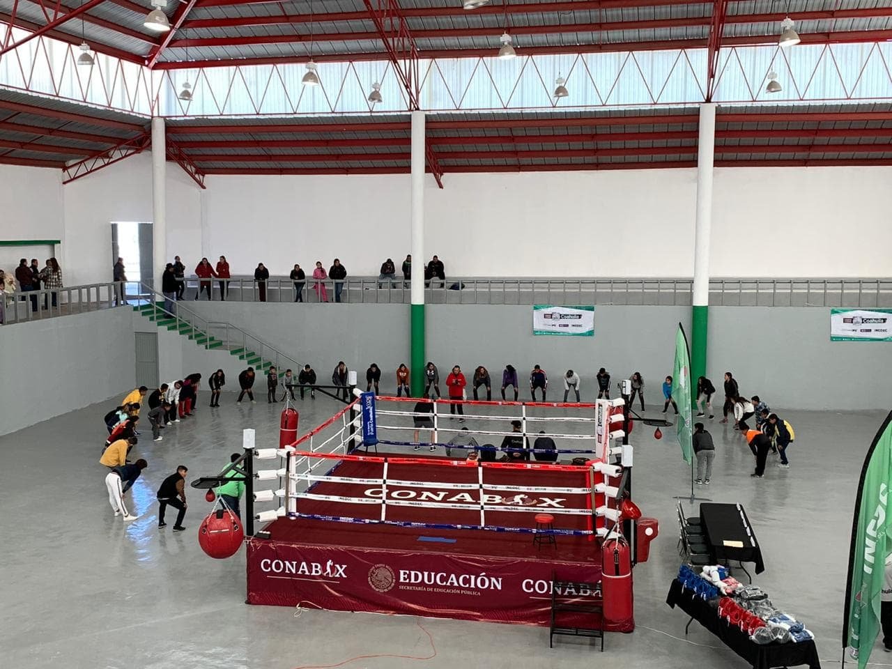 Ring de Boxeo Profesional MTX - Imagen 7