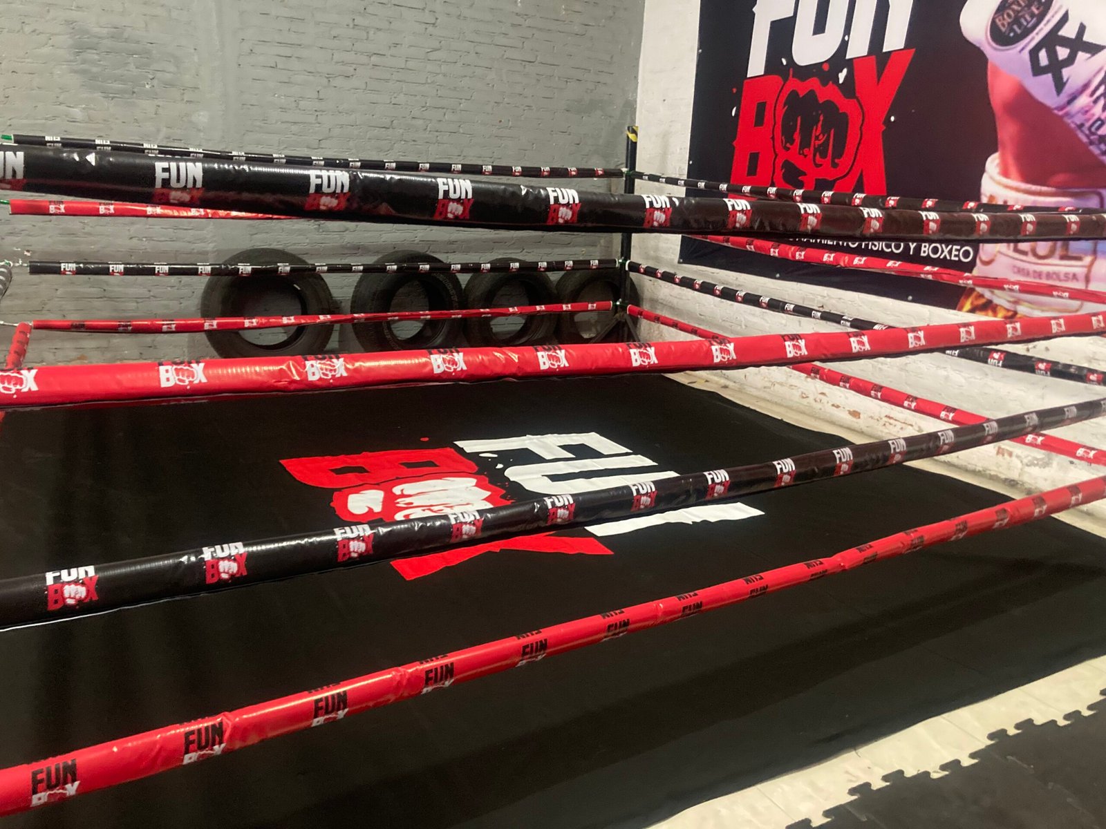 Ring de Boxeo Piso 4MTX - Imagen 3