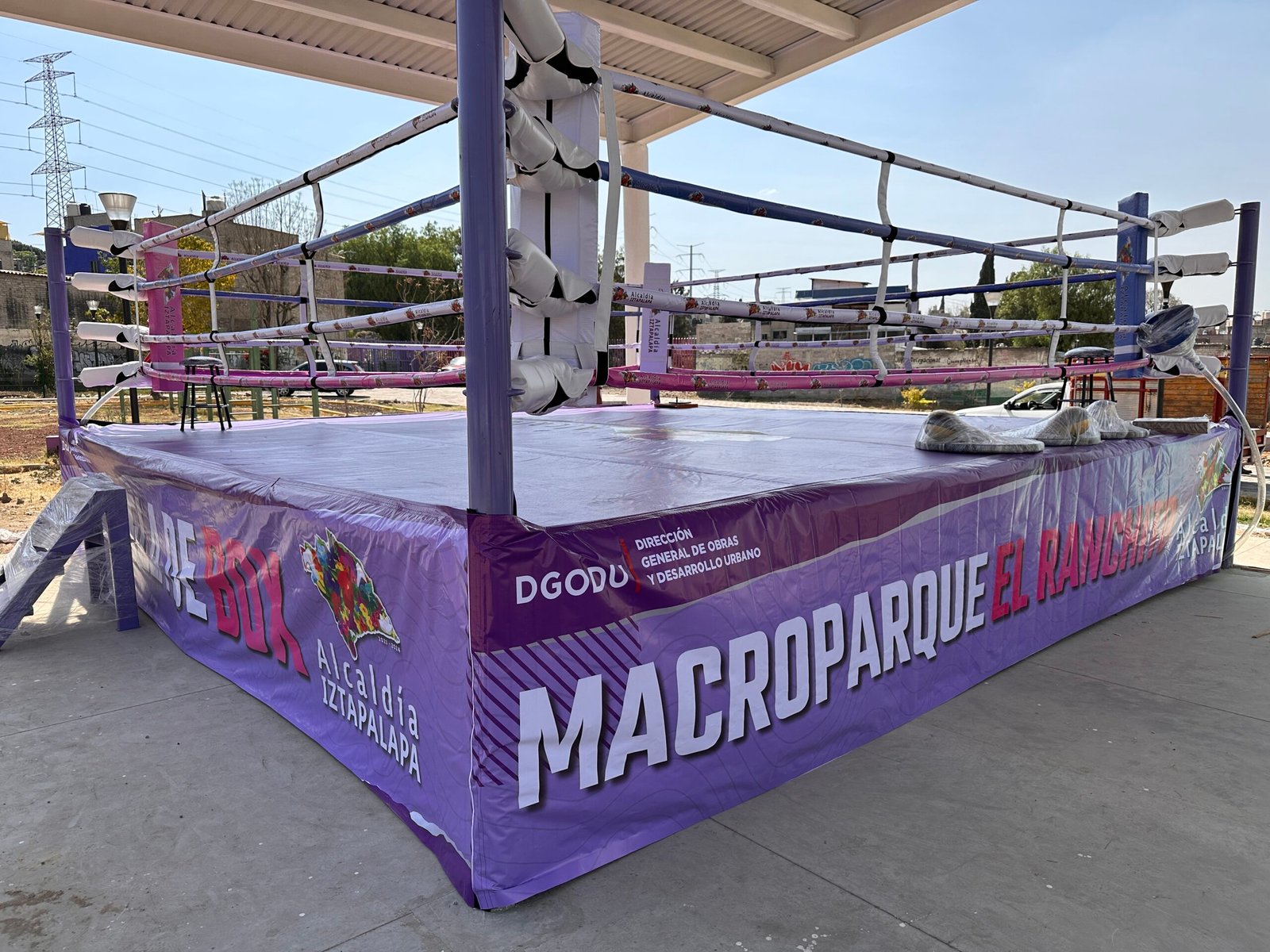 Ring de Boxeo Profesional MTX - Imagen 8