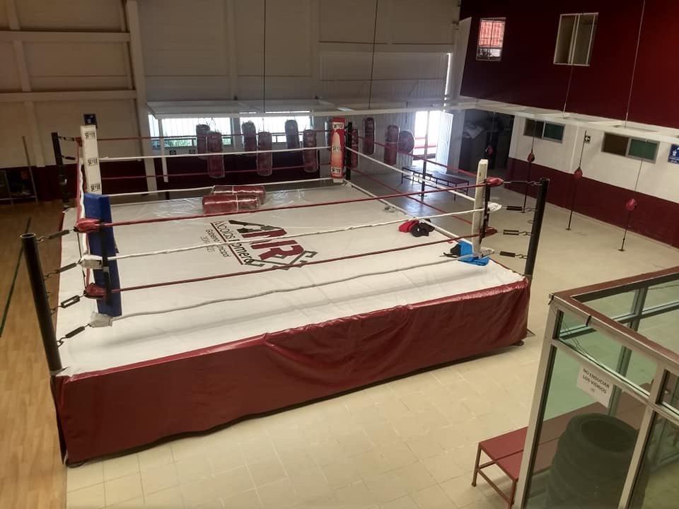 Ring de Boxeo Profesional MTX - Imagen 9