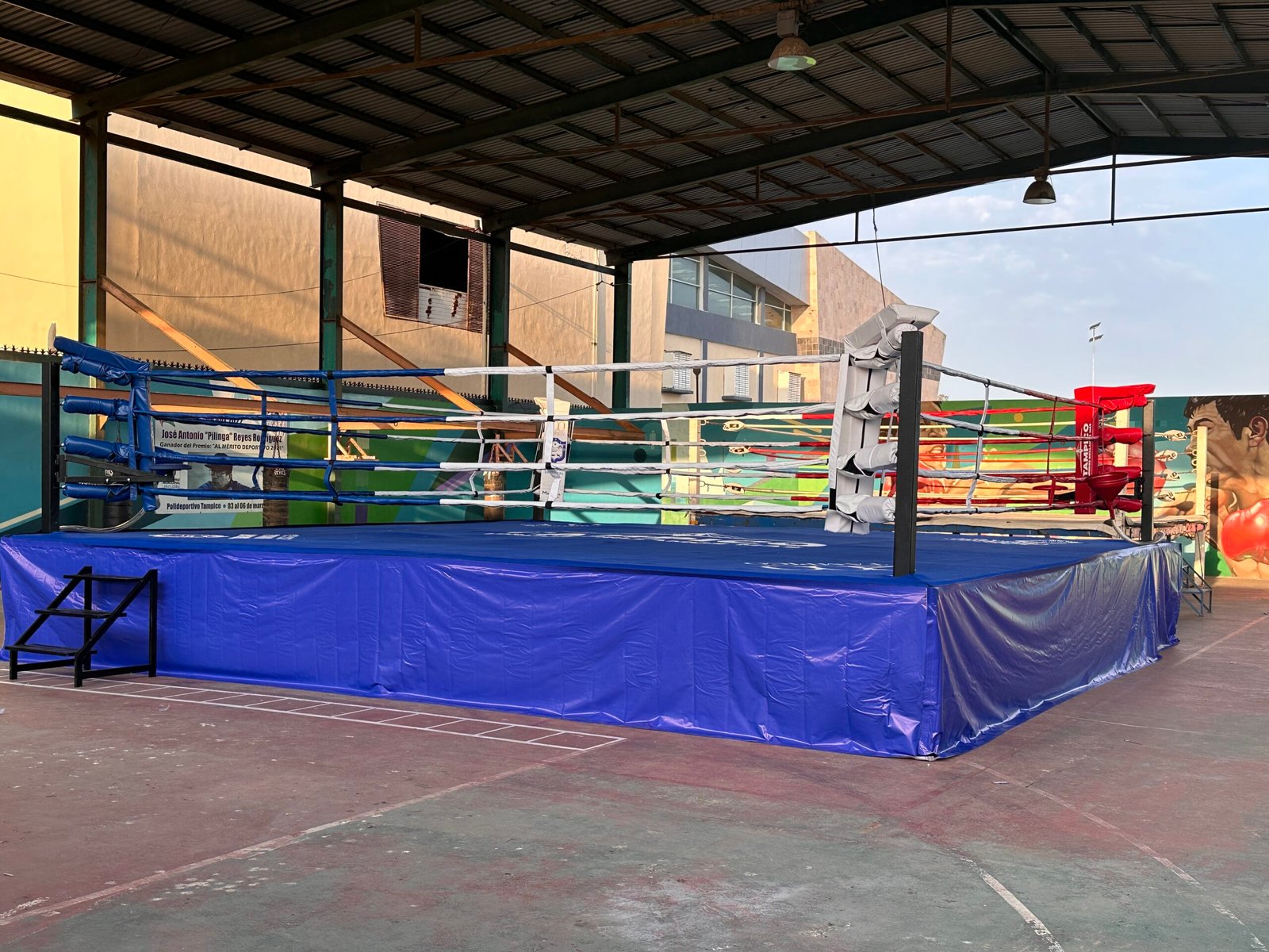 Ring de Boxeo Olimpico MTX - Imagen 5