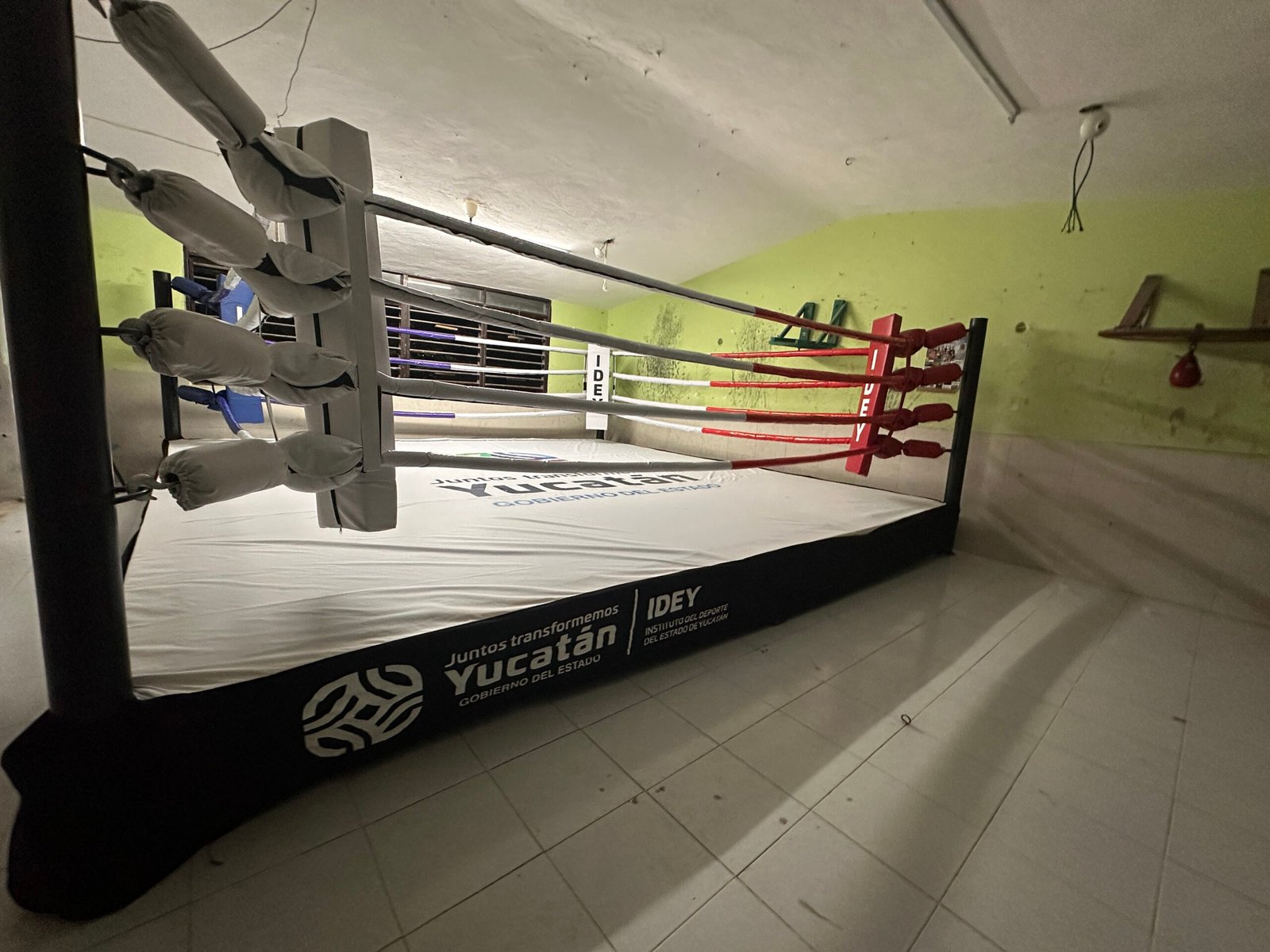 Ring de Boxeo Gimnasio MTX - Imagen 2