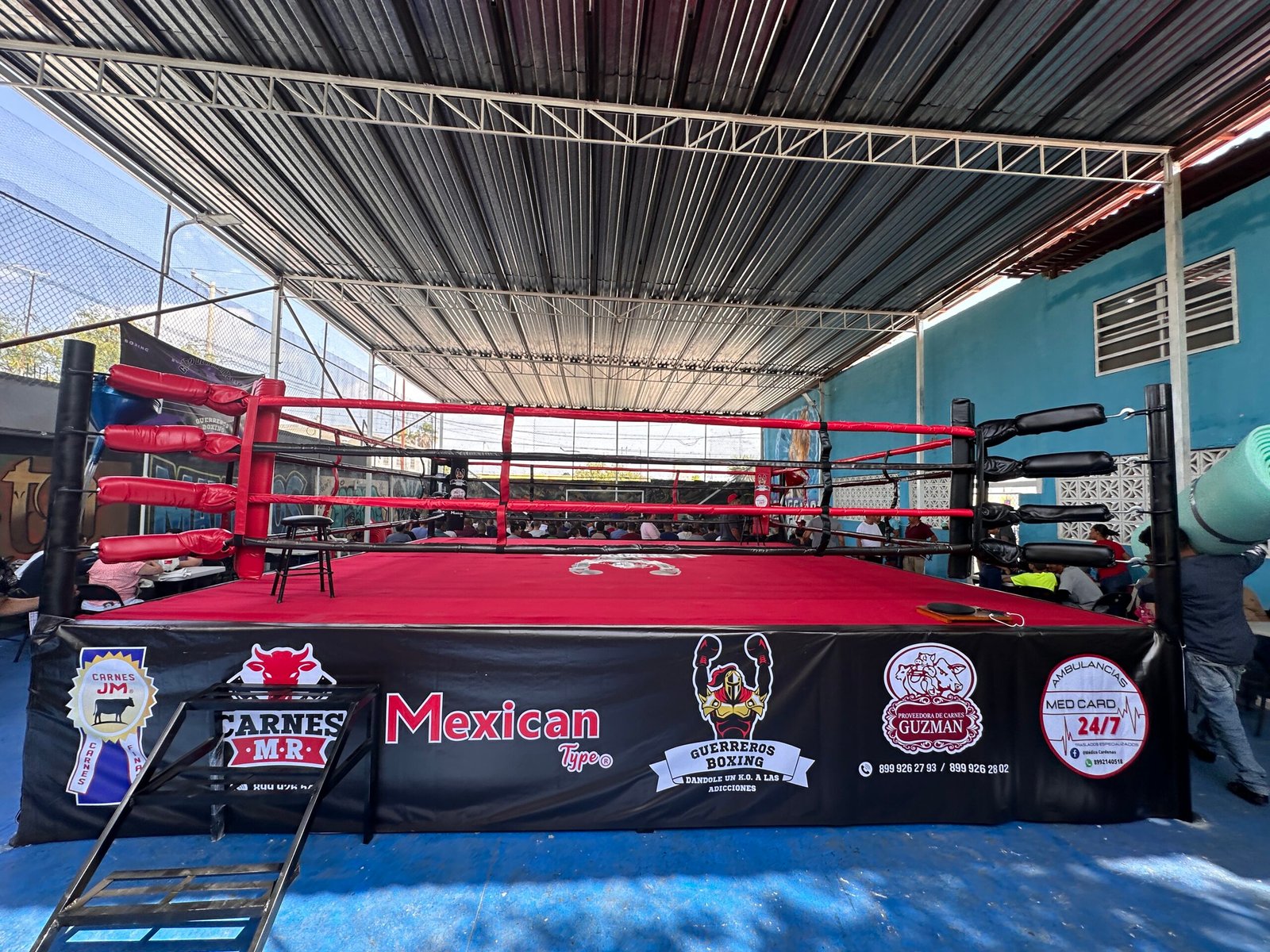 Ring de Boxeo Profesional MTX - Imagen 10