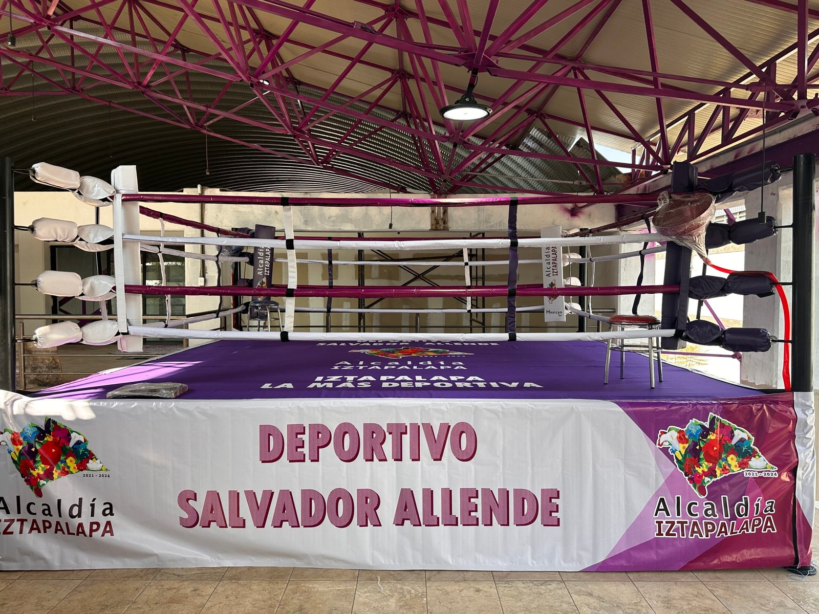 Ring de Boxeo Profesional MTX - Imagen 11