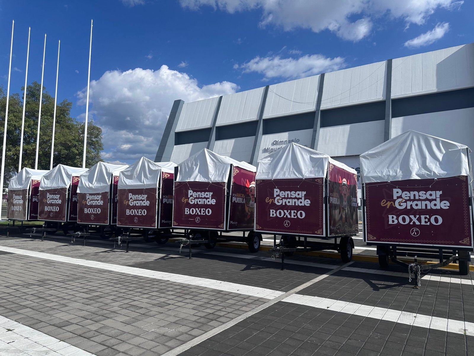 Ring de Boxeo Remolque MTX - Imagen 12