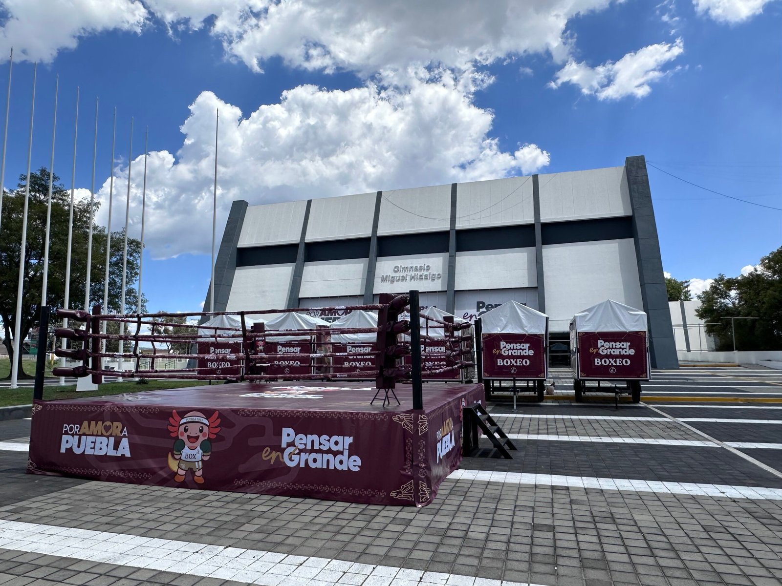 Ring de Boxeo Remolque MTX - Imagen 10