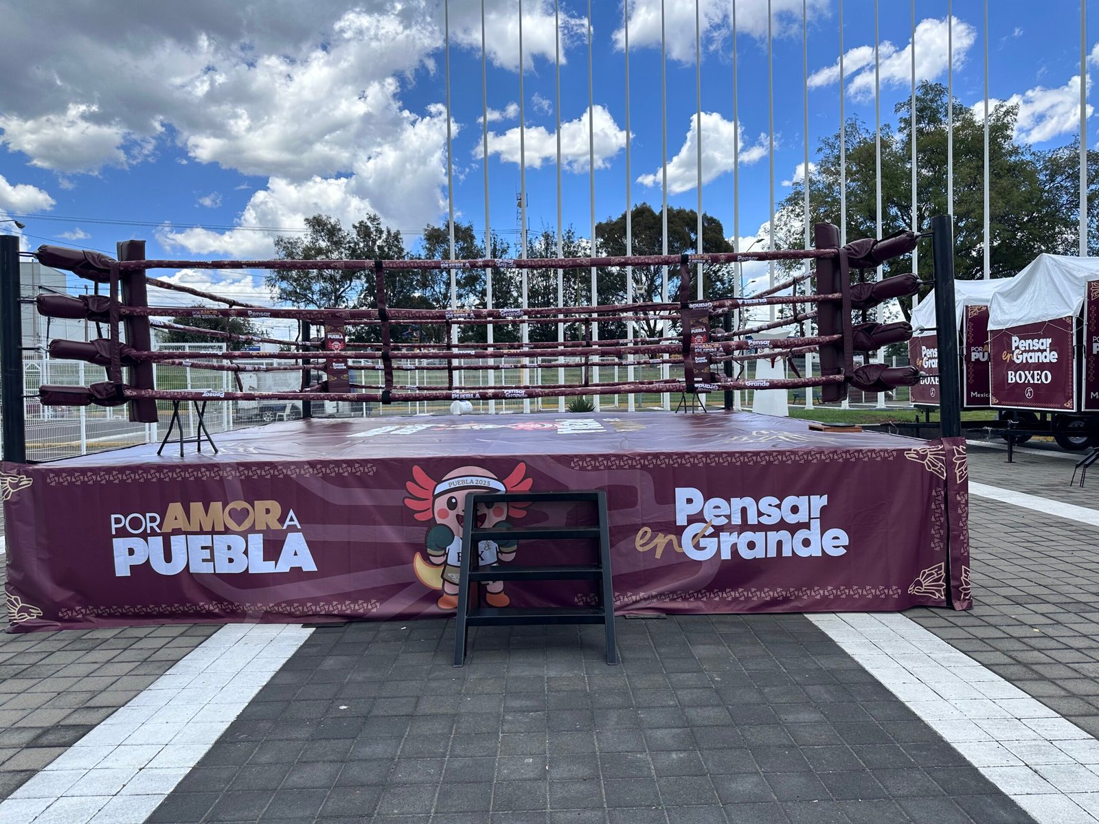 Ring de Boxeo Remolque MTX - Imagen 11