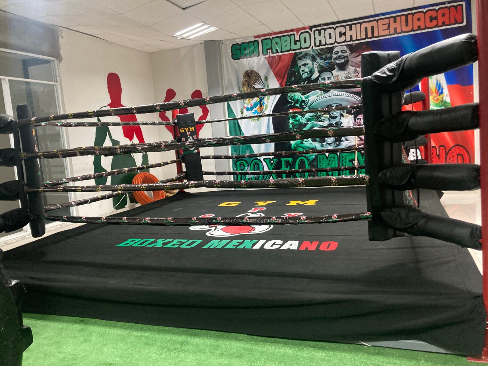 Ring de Boxeo Gimnasio MTX - Imagen 10