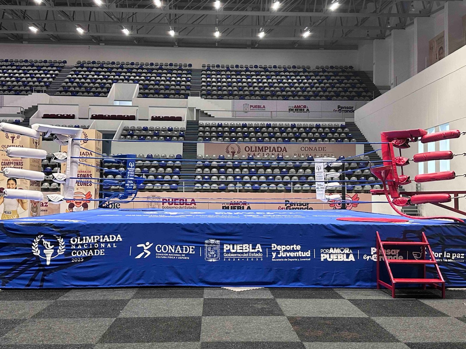 Ring de Boxeo Olimpico MTX - Imagen 7