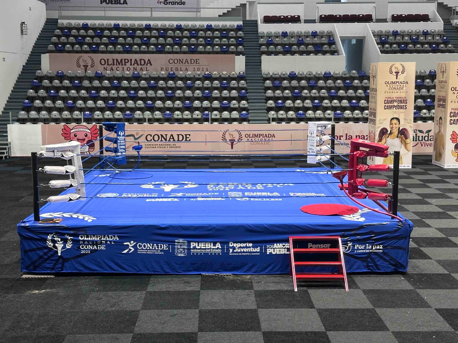 Ring de Boxeo Olimpico MTX - Imagen 3