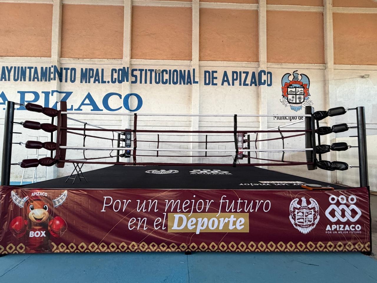 Ring de Boxeo Profesional MTX - Imagen 2