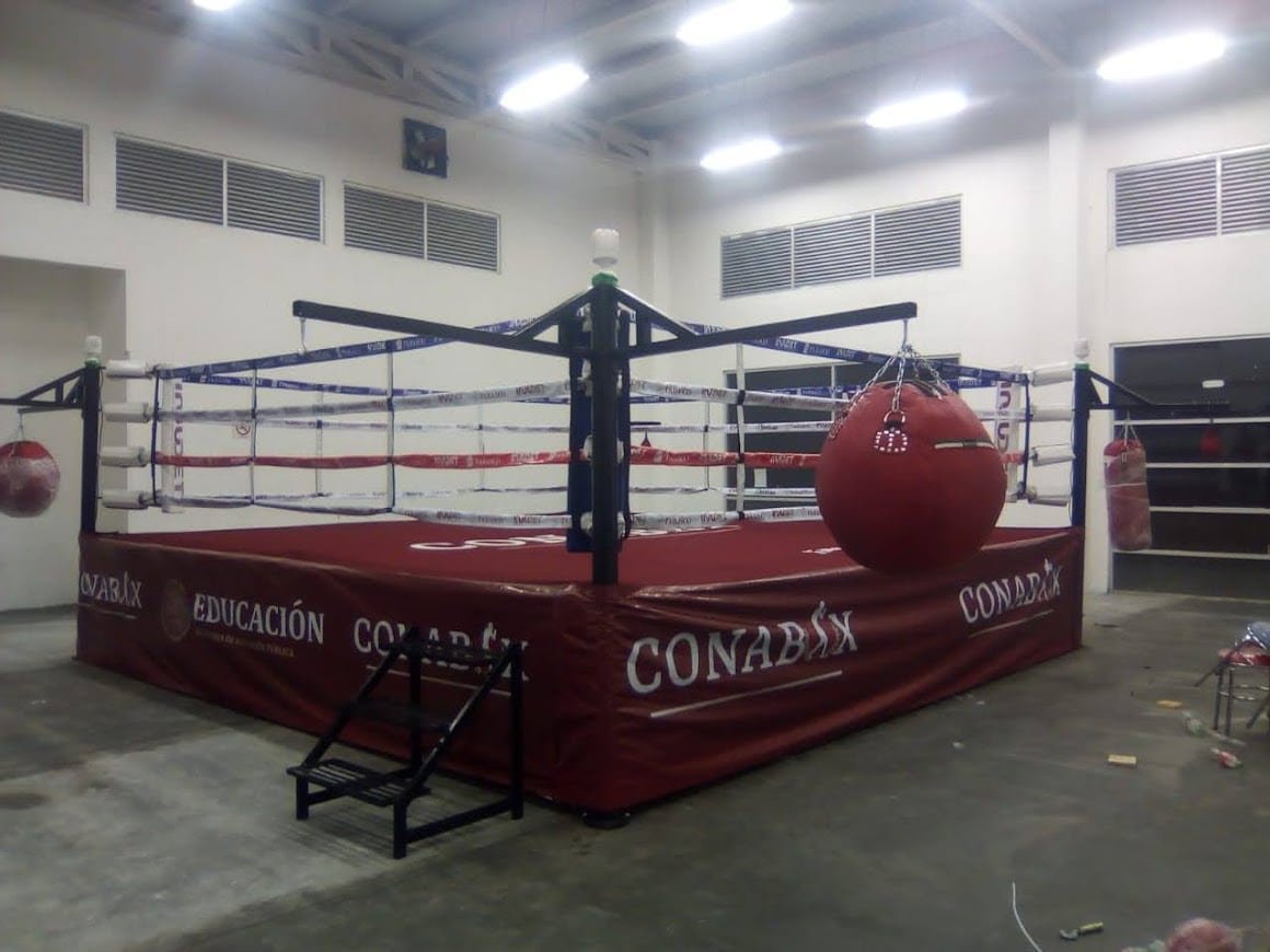 Ring de Boxeo Profesional MTX - Imagen 4