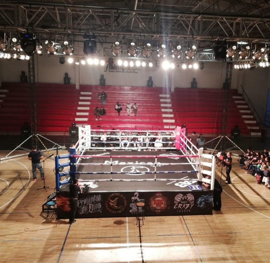 Ring de Boxeo Profesional MTX - Imagen 3