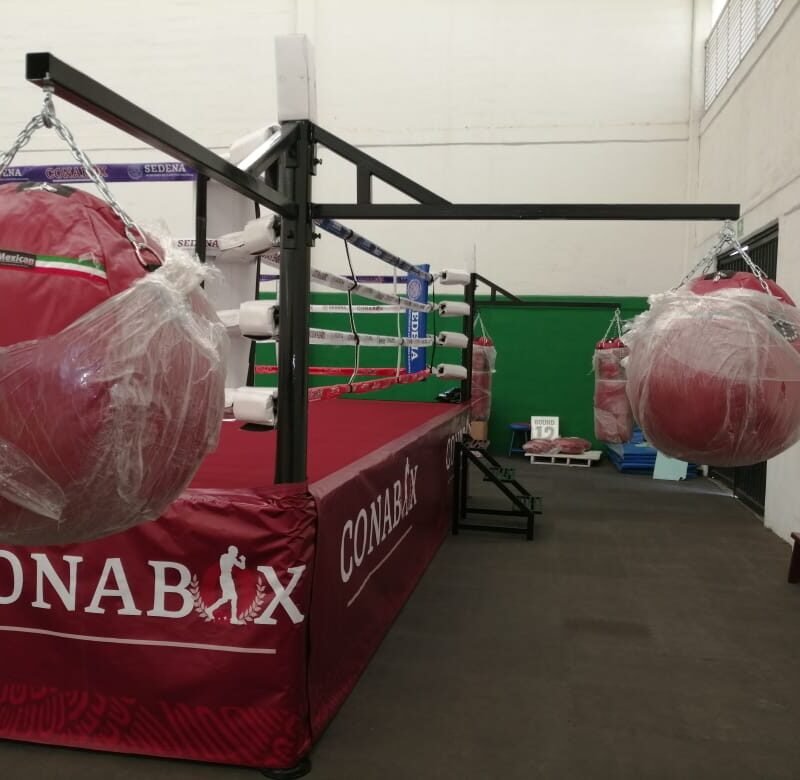 Ring de Boxeo Profesional con Brazos MTX